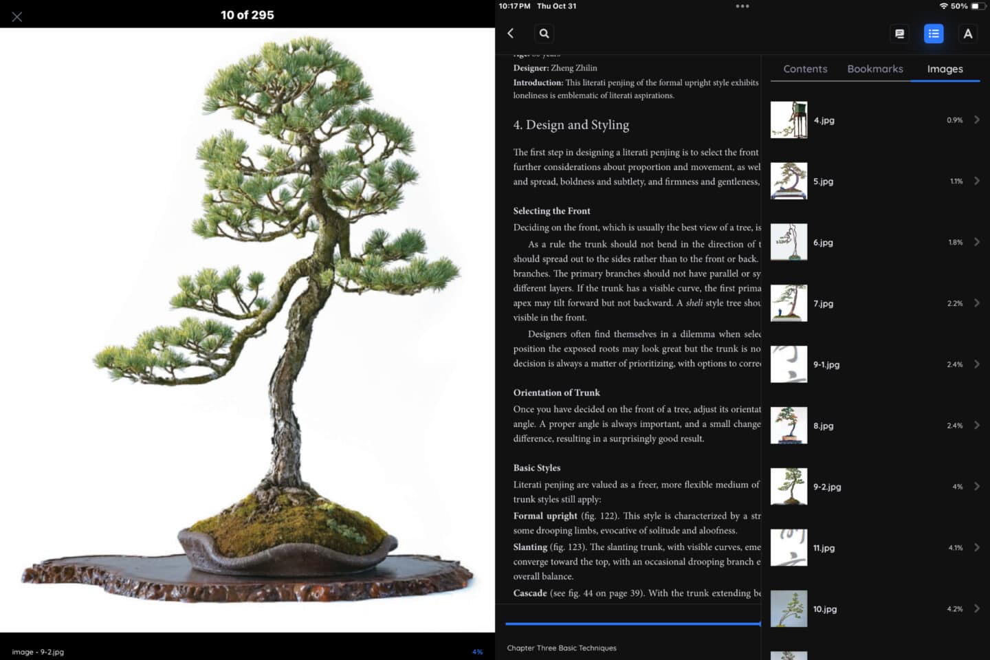 BookFusion image navigation A screenshot of BookFusion's new image navigation and gallery features for e-books.