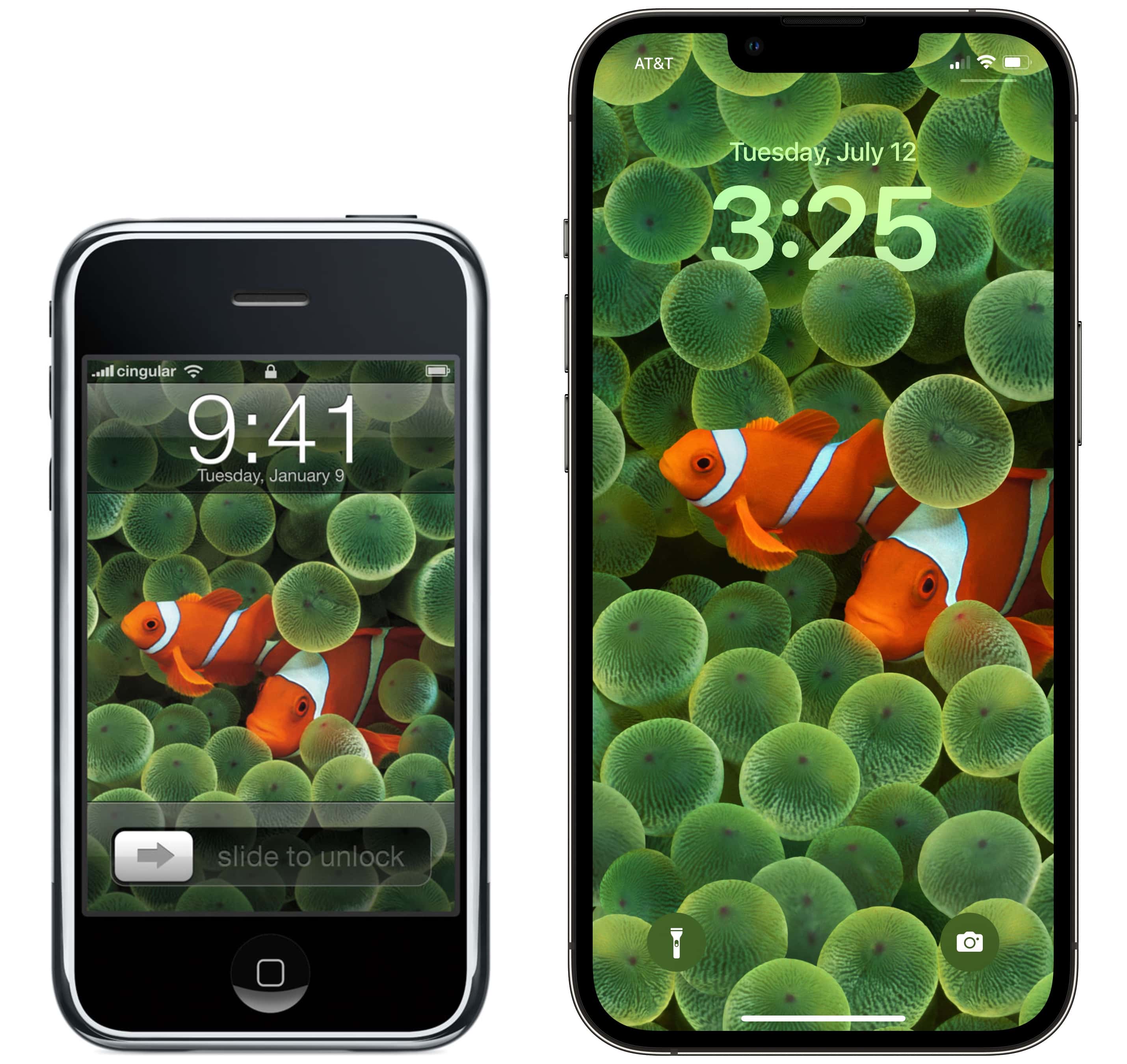 Clownfish The Clownfish wallpaper comes to the iPhone for the first (or second?) time ever.