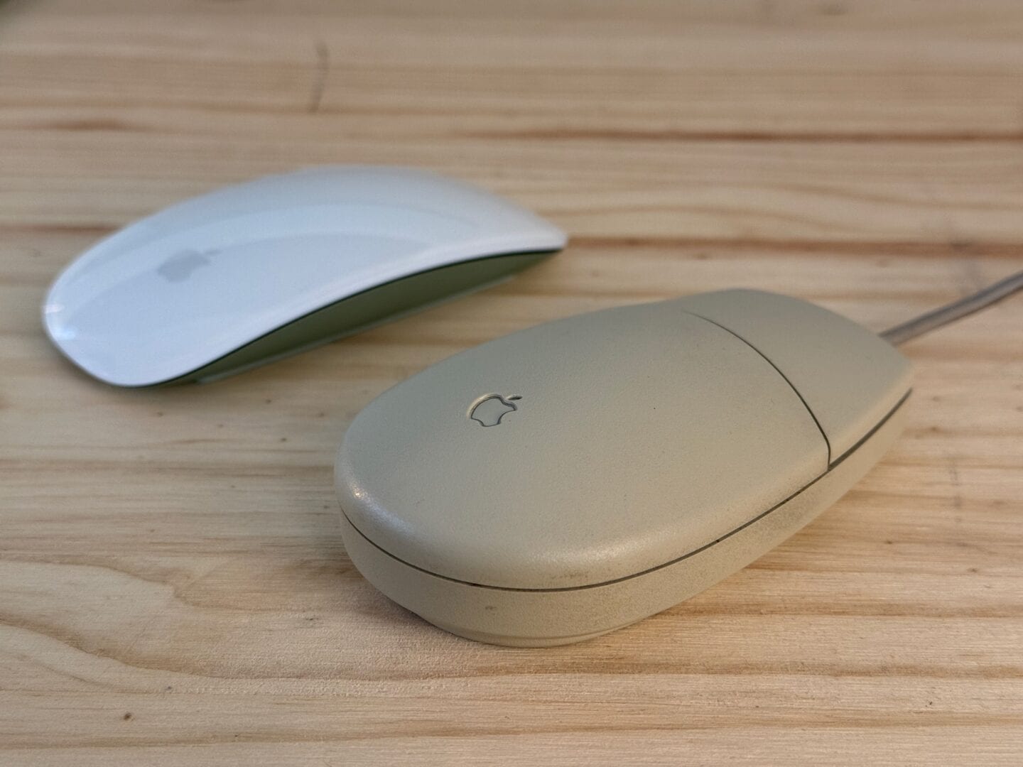 Magic Mouse and ADB Mouse II Apple ADB Mouse II and Magic Mouse side-by-side