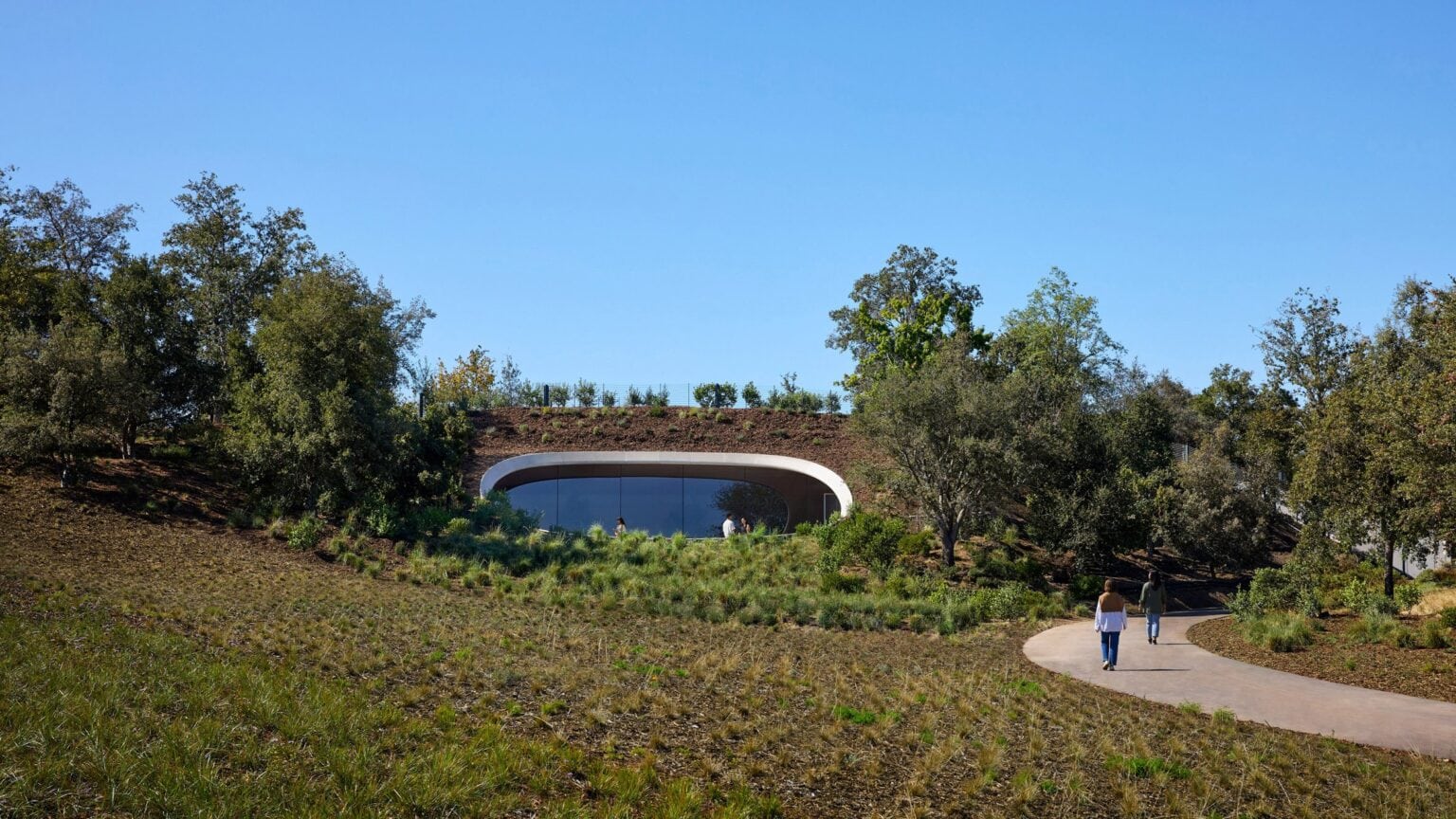 The Observatory from the outside, a large window in the side of a hill covered in bushes and trees